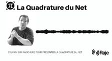 Présentation de La Quadrature du Net avec Sylvain sur radio Raje by LQDN - Revue de presse